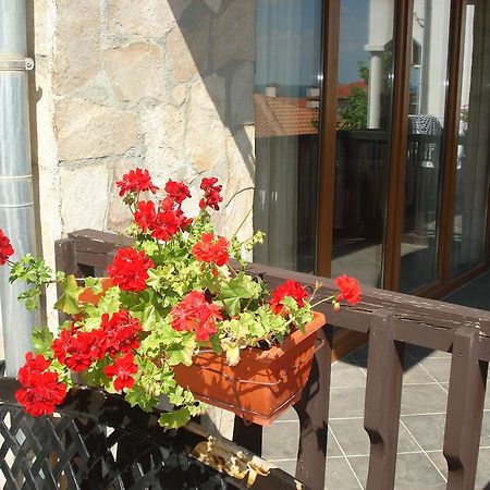 Tsb Sun Coast Apartments Свети-Влас Экстерьер фото